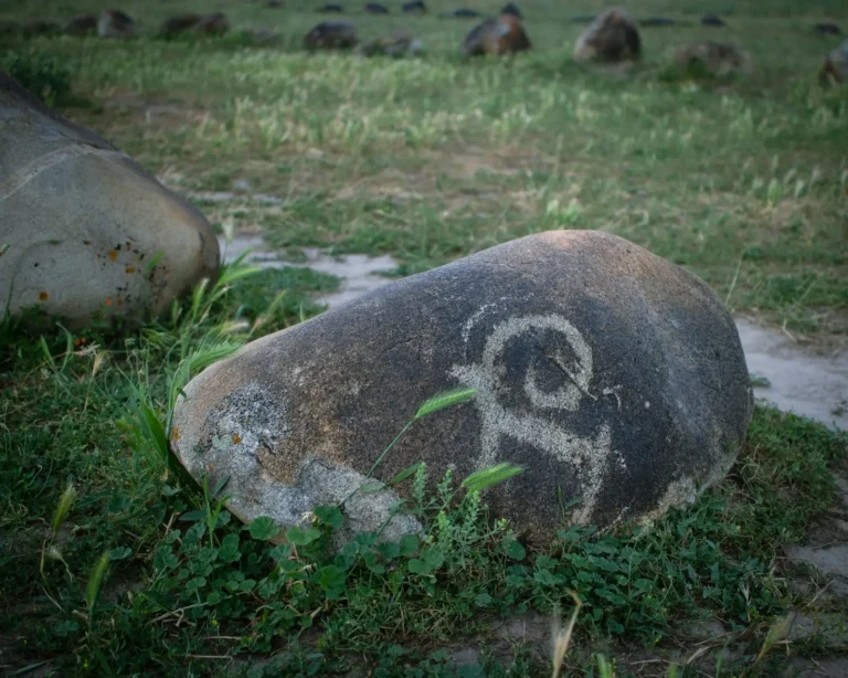 An ancient petroglyph carved on a stone in the open air museum at Cholpon-Ata, Issyk Kul.