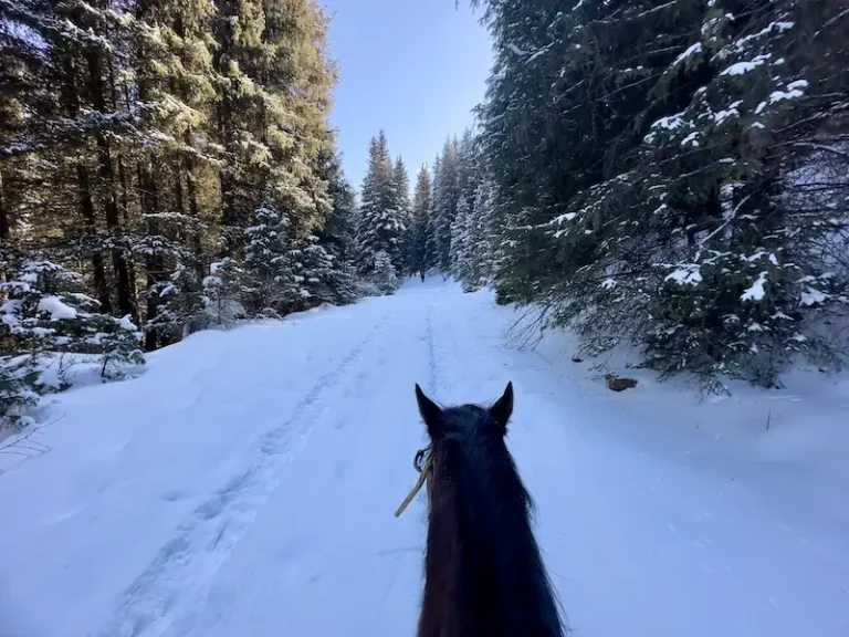 Horse riding in karakol gorge