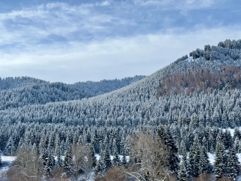 Karakol gorge in winter