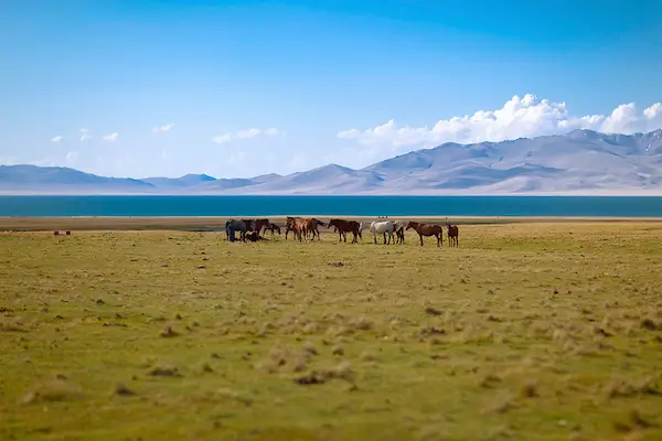 Song Kul Lake