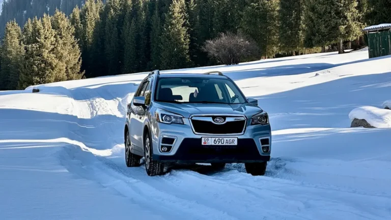 Subaru Forester 2020 Silver 1